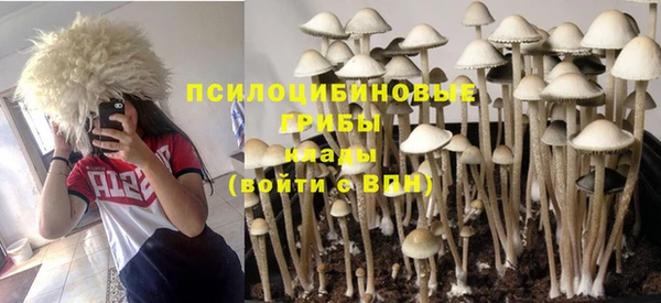 сатива Балабаново