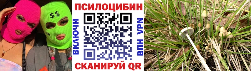 Псилоцибиновые грибы Magic Shrooms  Волчанск 